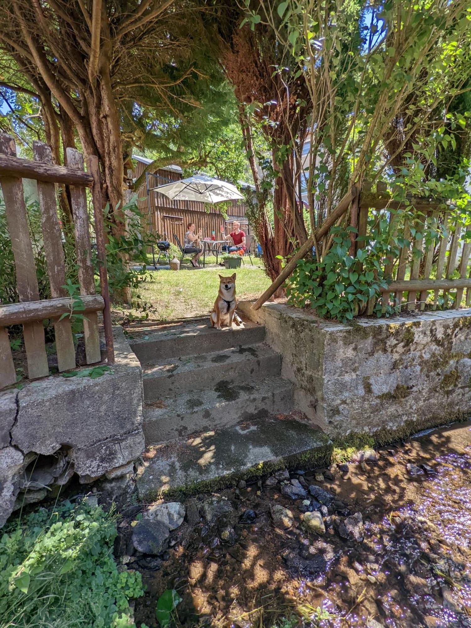 H2 - Urlaubsmagie - Garten, Pool, Terrasse, Grill Sebnitz Exterior photo
